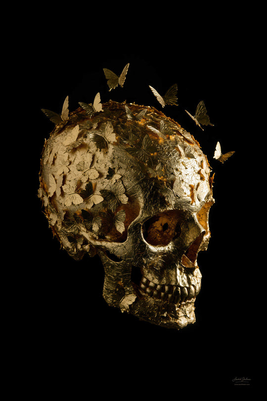 Schedel beplakt met bladgoud en vlinders tegen zwarte achtergrond – SkullBloom Gold